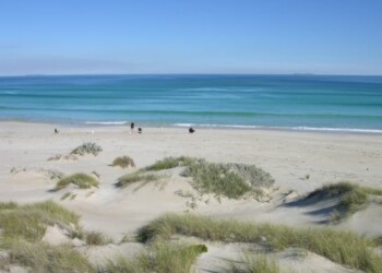 Image: Shane Chalker